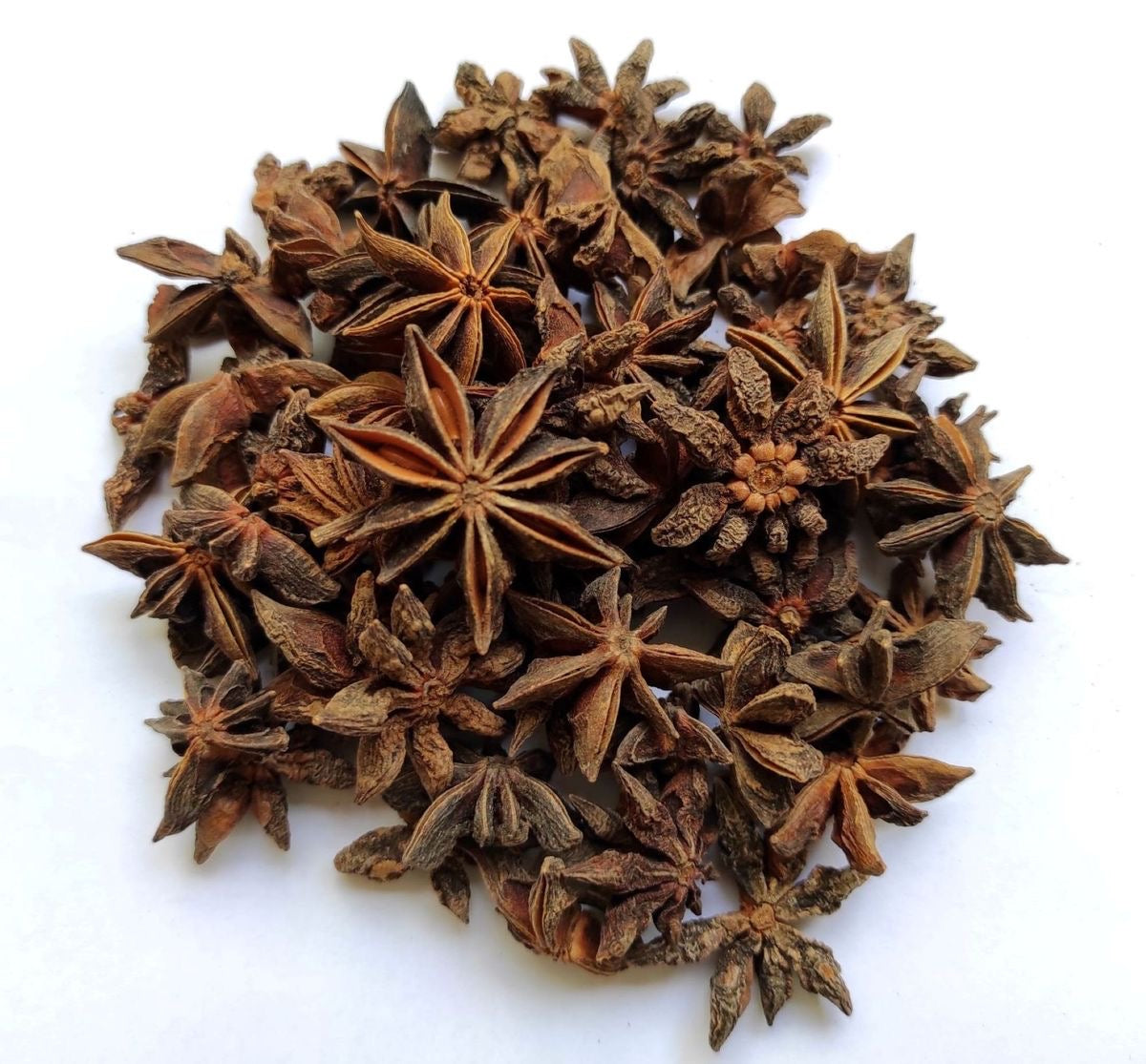 Yercaud Star Anise