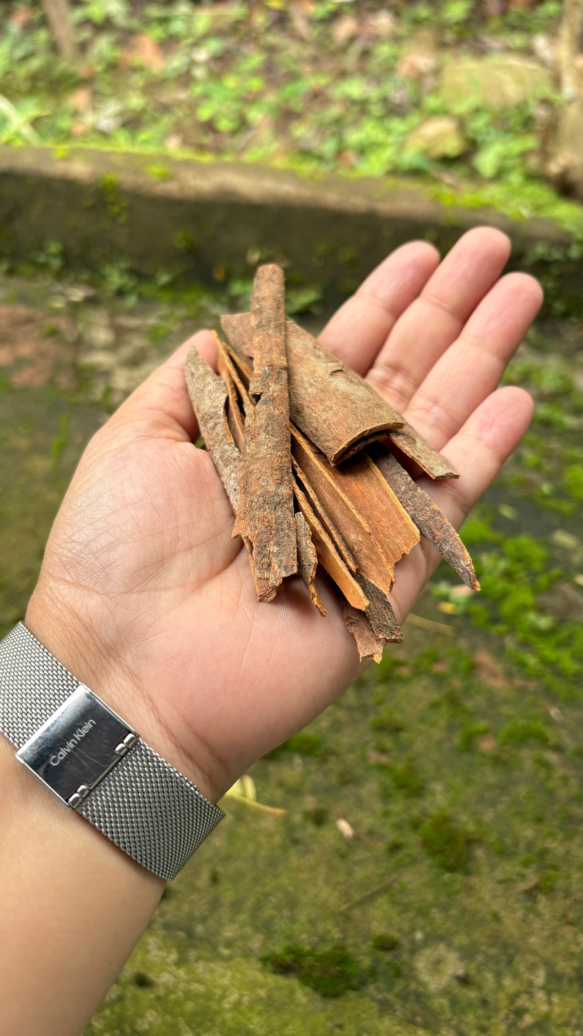 Premium Idukki Green Cardamom (Whole Pods)