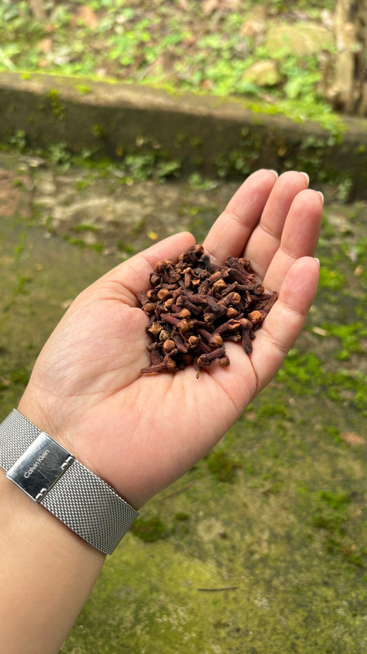 Premium Idukki Green Cardamom (Whole Pods)