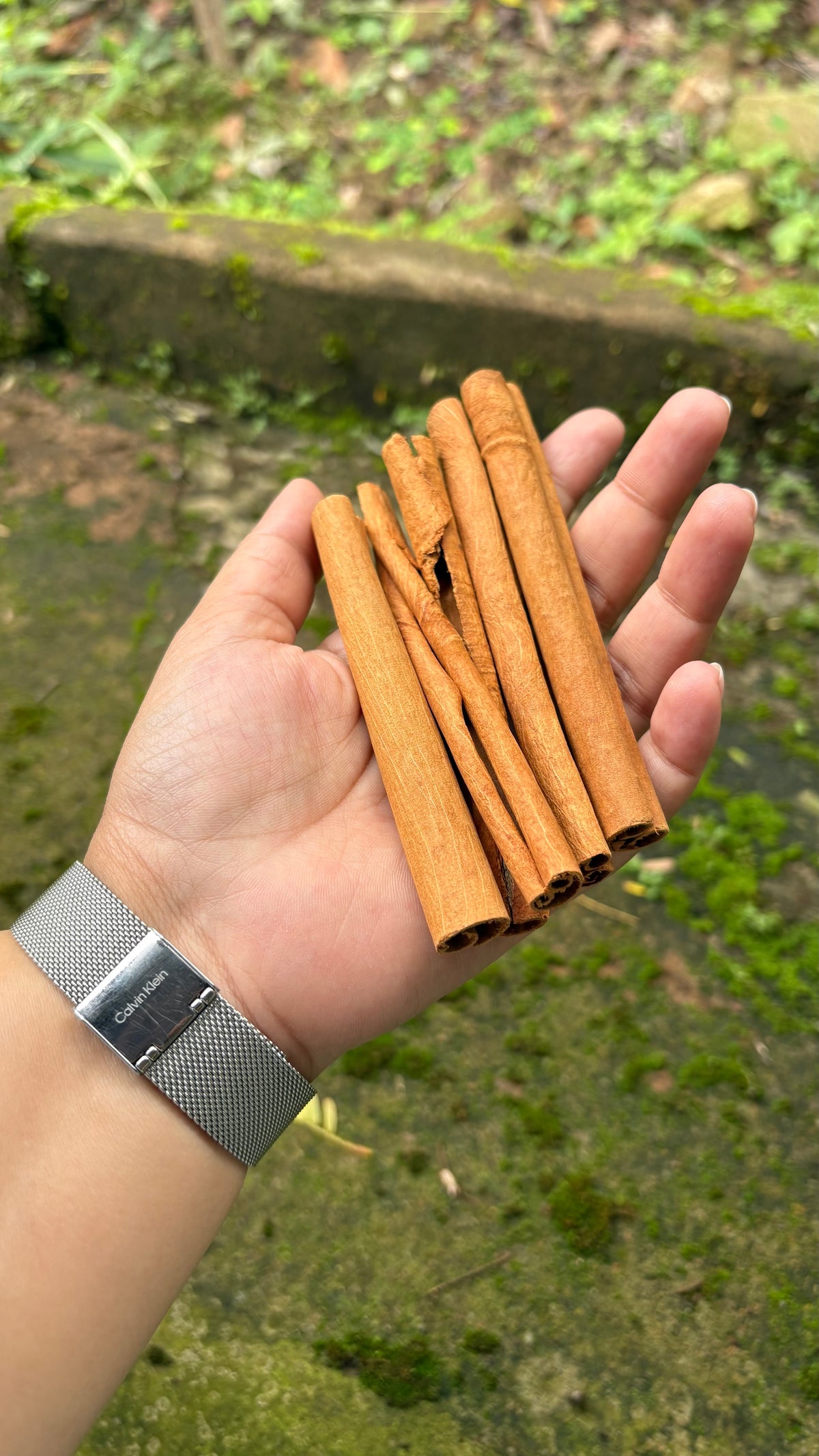 Premium Idukki Green Cardamom (Whole Pods)