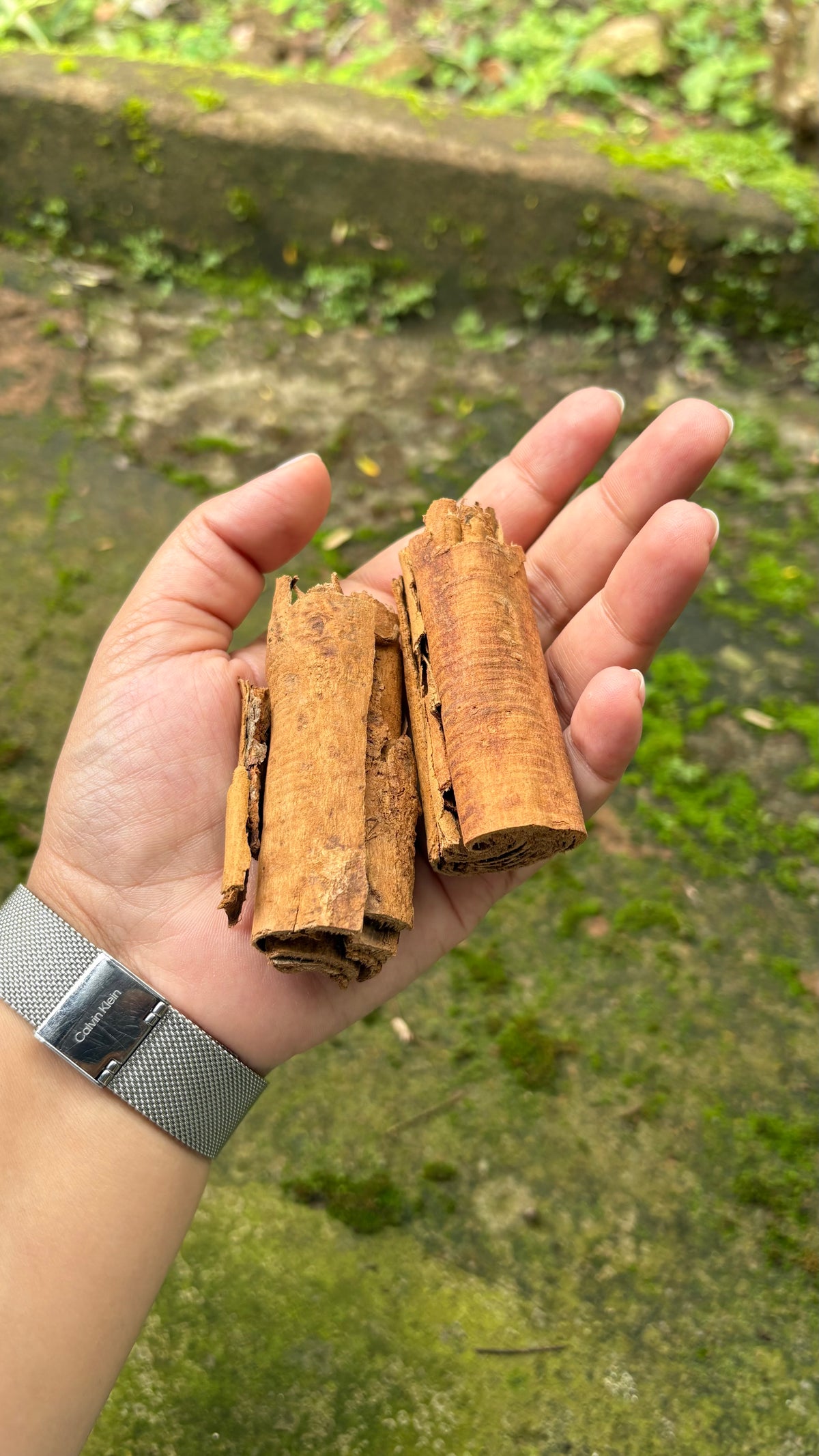 Premium Idukki Green Cardamom (Whole Pods)