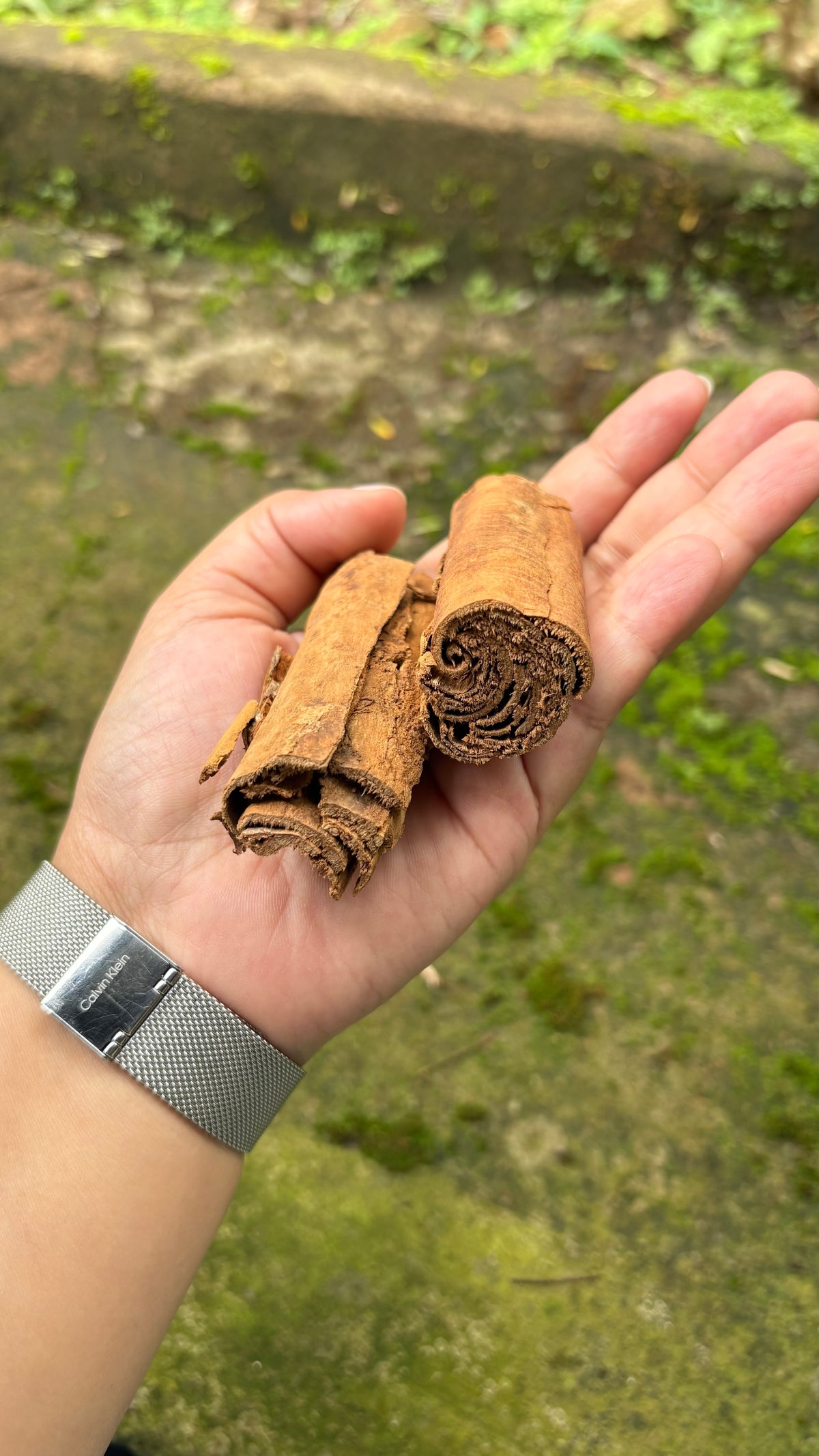 Premium Idukki Green Cardamom (Whole Pods)