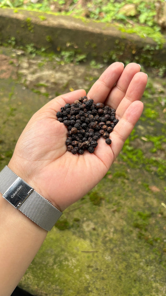 Premium Idukki Green Cardamom (Whole Pods)